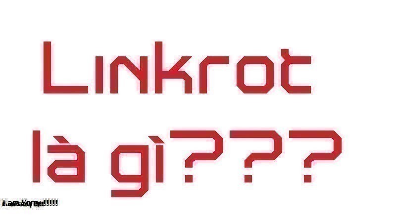 Link Rot Là Gì? Tìm Hiểu Về Link Rot Là Gì?