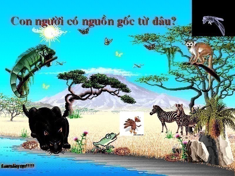 Loài người là gì và loài người có thật sự tiến hóa từ vượn?