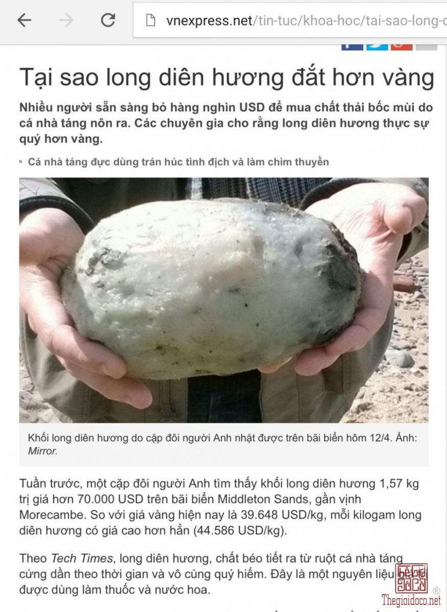 Long diên hương là gì và có giá trị bao nhiêu 1 kg?