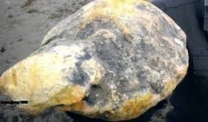 Long diên hương là gì và có giá trị bao nhiêu 1 kg?