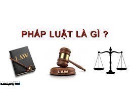 Luật pháp là gì? Pháp Luật xây dựng và thực thi như thế nào?