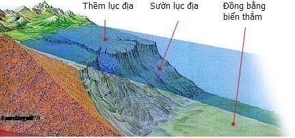 Lục địa là gì và quá trình hình thành phát triển lục địa?
