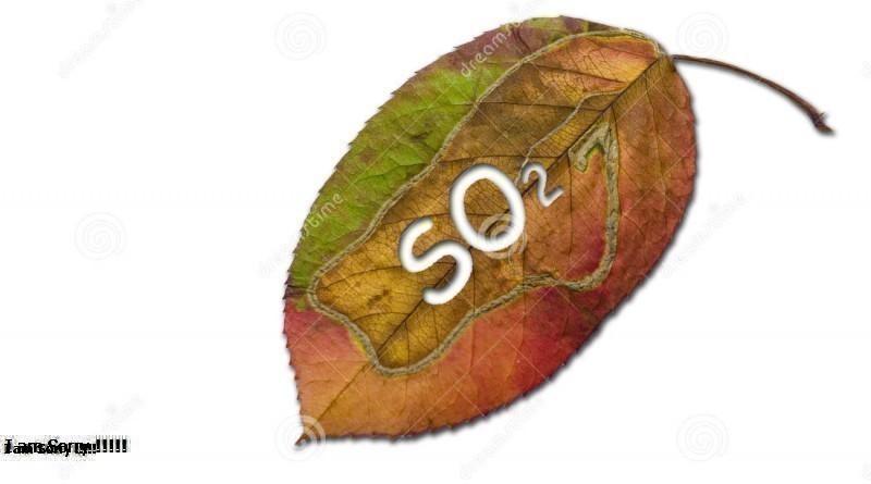 Lưu huỳnh Điôxit là gì? Tác hại lưu huỳnh điôxit là gì?