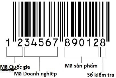 Mã Vạch Là Gì? Tìm Hiểu Về Barcode Là Gì?