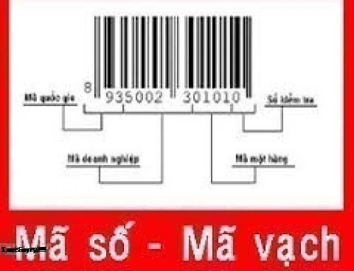 Mã Vạch UPC Là Gì? Tìm Hiểu Về Mã Vạch UPC Là Gì? - redfriday