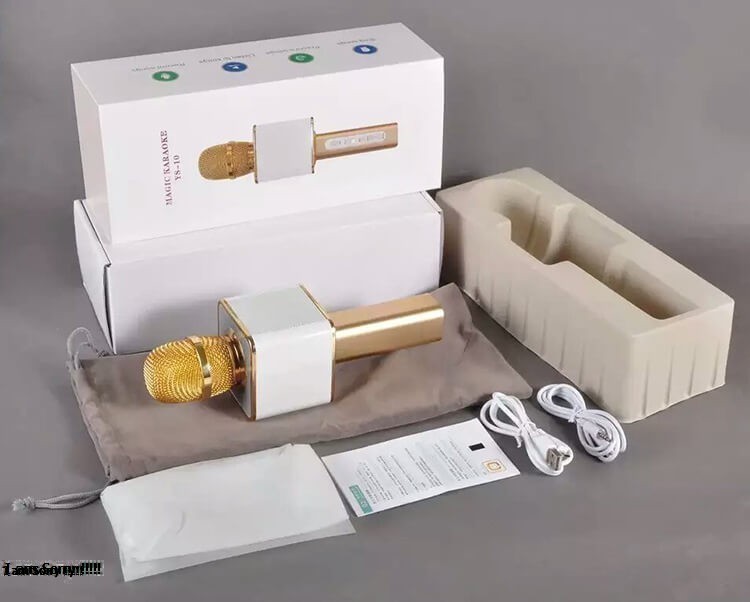 Micro YS 10 Là Gì? Tìm Hiểu Về Micro YS 10 Là Gì?