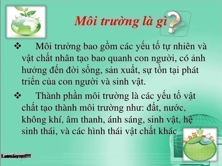 Môi trường là gì? Môi trường tác động gì tới cuộc sống con người?