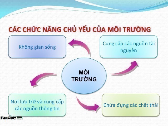 Môi trường là gì? Môi trường tác động gì tới cuộc sống con người?
