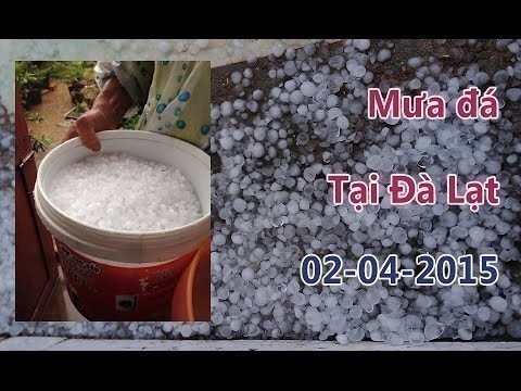 Mưa đá là gì? Cách phòng tránh mưa đá là gì?