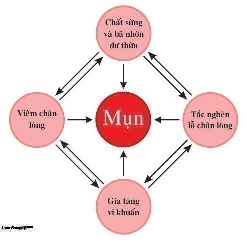 Mụn Là Gì? Tìm Hiểu Về Mụn Là Gì?