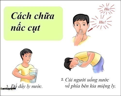 Nấc Cụt Là Gì? Tìm Hiểu Về Nấc Cụt Là Gì?