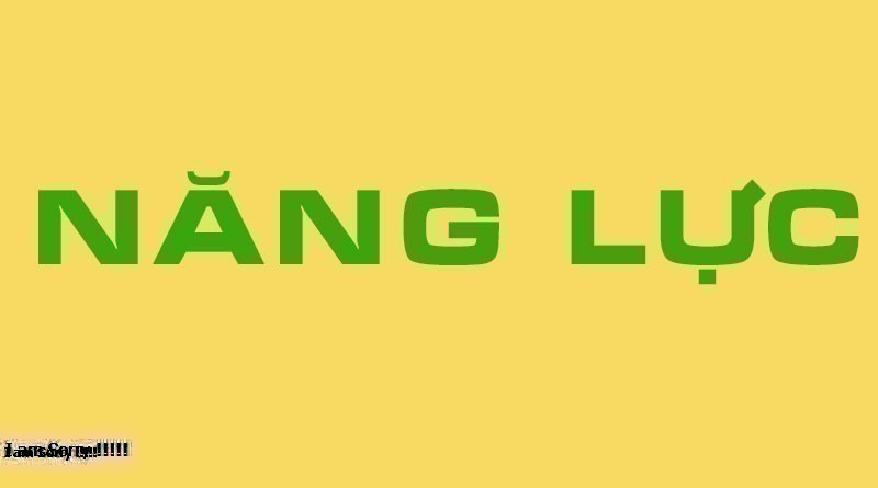 Năng lực là gì? Tại sao chúng ta cần phải có năng lực?