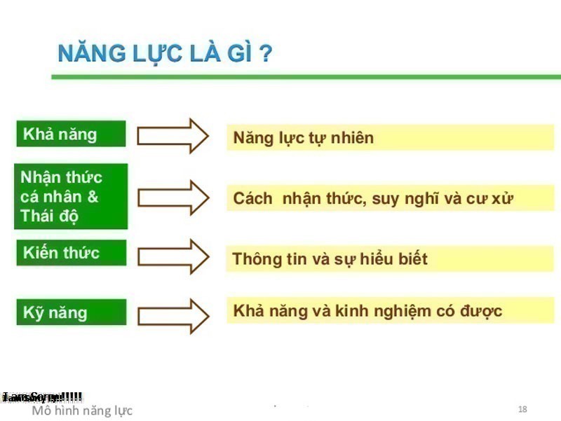 Năng lực là gì? Tại sao chúng ta cần phải có năng lực?