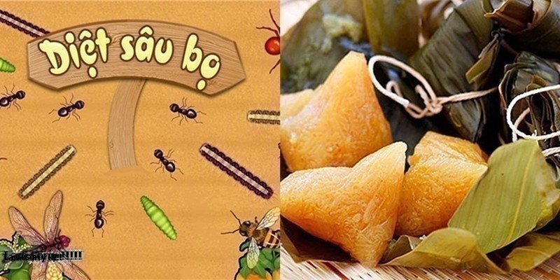 Ngày chiết sâu bọ và những điều nên làm trong ngày này?