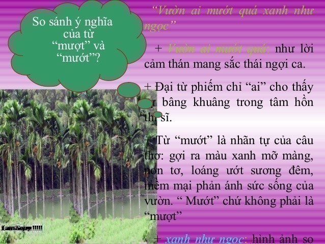 Nhân hoá là gì và các kiểu nhân hoá phổ biến nhất hiện nay?