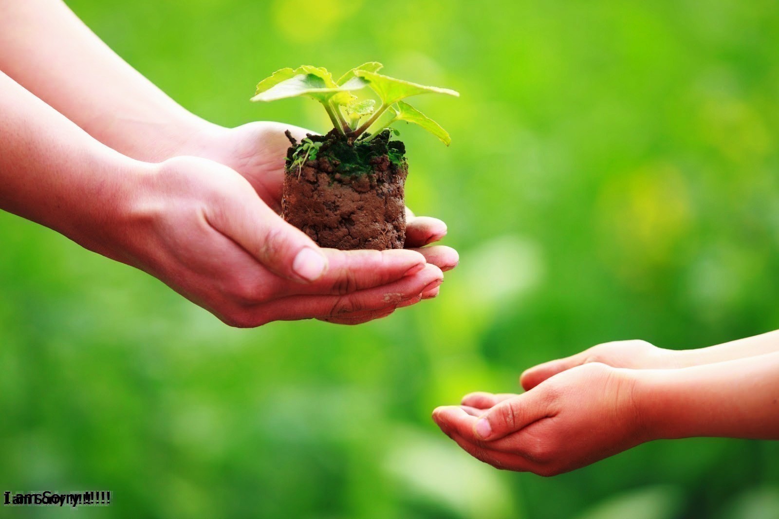 Nhân Quả Là Gì? Tìm Hiểu Về Nhân Quả Là Gì?