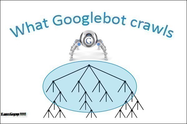 No-Index Tags Là Gì? Tìm Hiểu Về  No-Index Tags Là Gì?