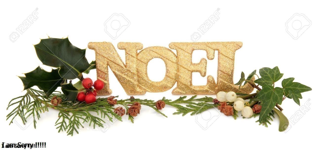 Noel Là Gì? Tìm Hiểu Về Noel Là Gì?