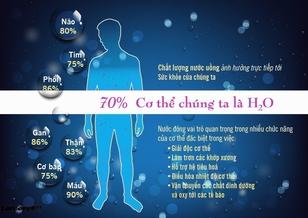 Nước là gì? Cấu tạo và tính chất của phân tử Nước?
