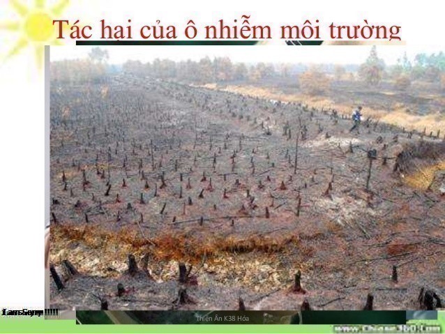 Tìm hiểu về ô nhiễm mô trường là hiện tượng gì?