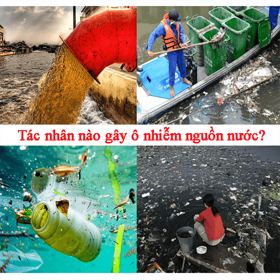 Ô Nhiễm Nước Là Gì? Tìm Hiểu Về Ô Nhiễm Nước Là Gì?