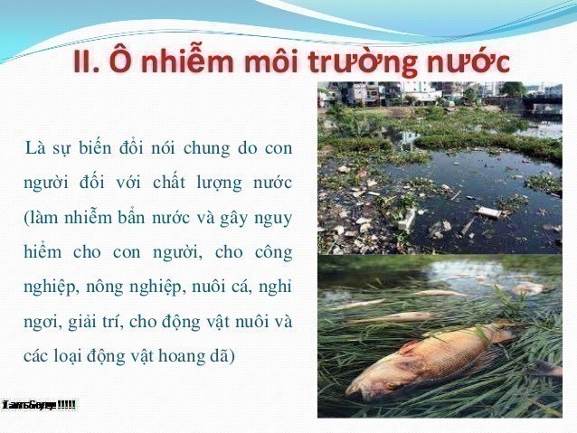 Ô Nhiễm Nước Là Gì? Tìm Hiểu Về Ô Nhiễm Nước Là Gì?