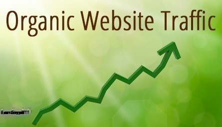 Organic Traffic Là Gì? Tìm Hiểu Về Organic Traffic Là Gì?