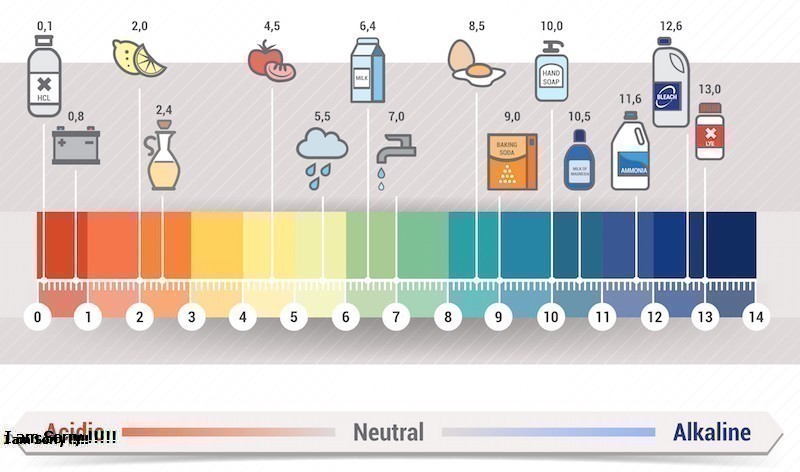 PH Là Gì? Tìm Hiểu PH Là Gì?