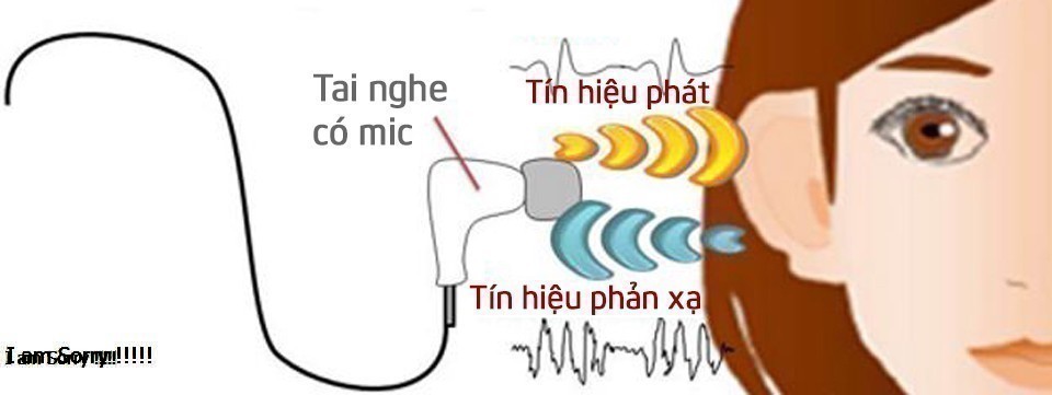 Phản xạ là gì và một số ví dụ về phản xạ?