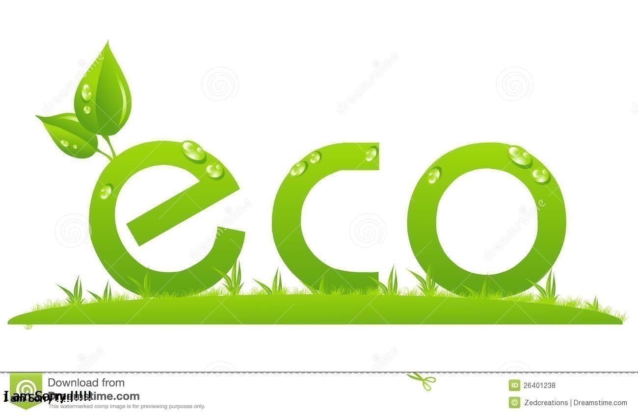 Phong cách Eco là gì? Vật liệu sử dụng cho phong cách Eco?