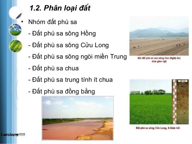Phù Sa Là Gì? Tìm Hiểu Về Phù Sa Là Gì?