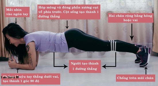 Plank là gì và tư thế chính xác khi tập Plank là gì?
