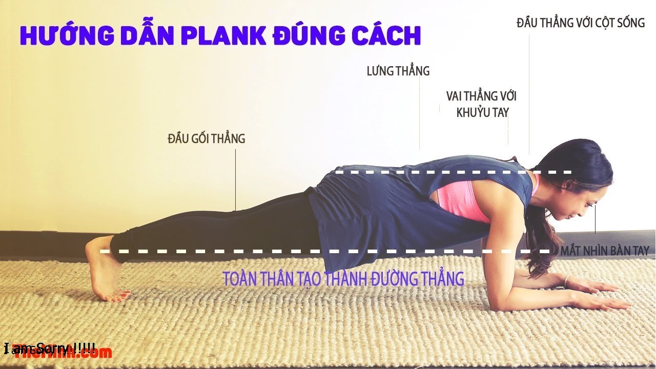 Plank là gì và tư thế chính xác khi tập Plank là gì?