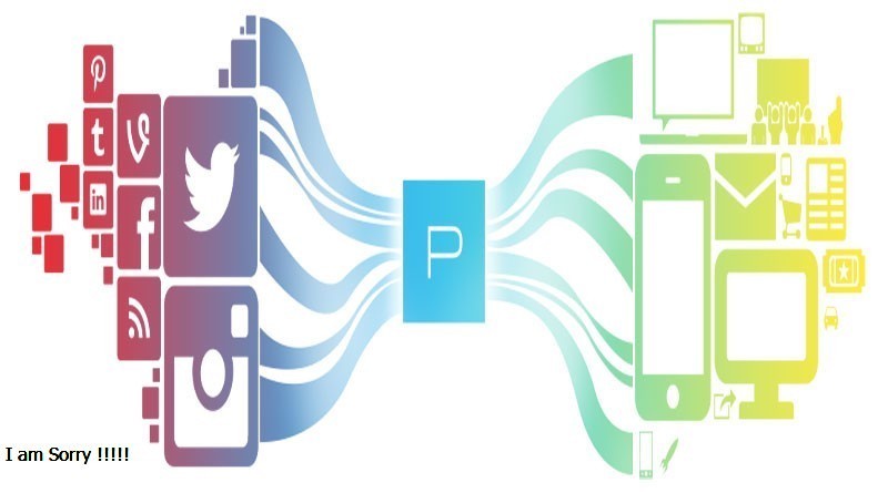 Patform Là Gì? Tìm Hiểu Patform Là Gì?