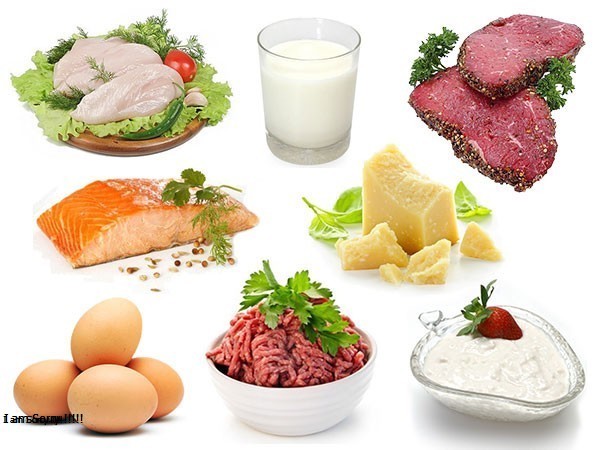 Protein Là Gì? Tìm Hiểu Về Protein Là Gì?