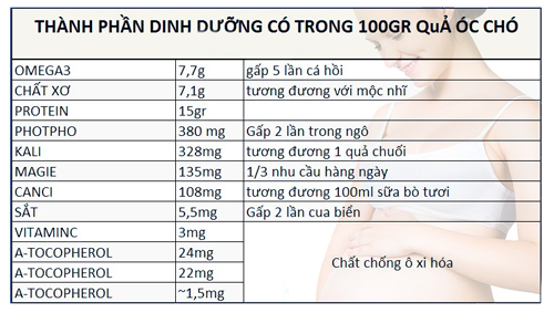 Quả Óc Chó Là Gì? Tìm Hiểu Về Quả Óc Chó Là Gì?