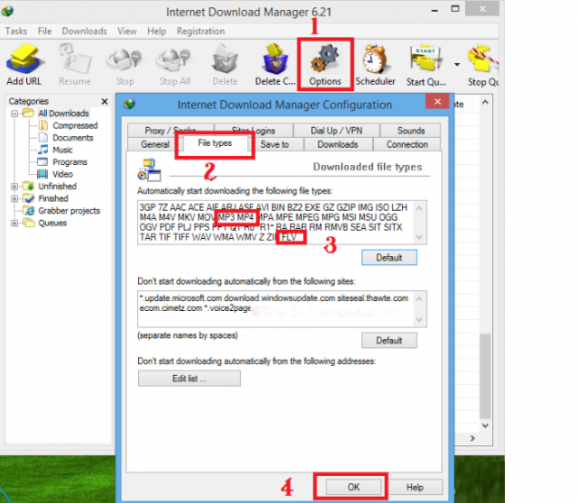 Cách sửa IDM tự động bắt link tải nhạc - video trên Cốc Cốc tốt nhất?