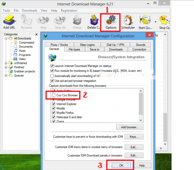 Cách sửa IDM tự động bắt link tải nhạc - video trên Cốc Cốc tốt nhất?