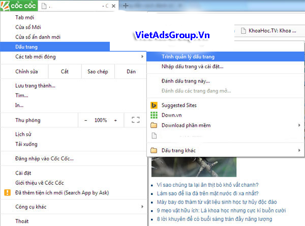 Hướng Dẫn Cách Tạo Bookmark Cho Trình Duyệt Cốc Cốc Hiệu Quả?