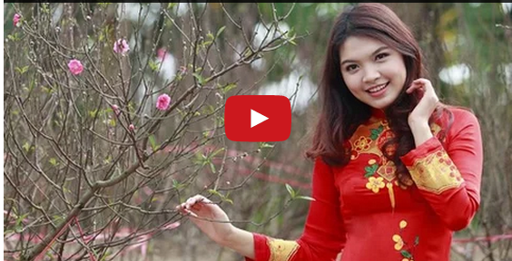 Quảng Cáo Youtube