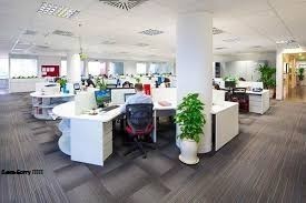 Cảm Nhận của kỹ sư Thụy Điển nói gì khi làm việc tại Zalo?