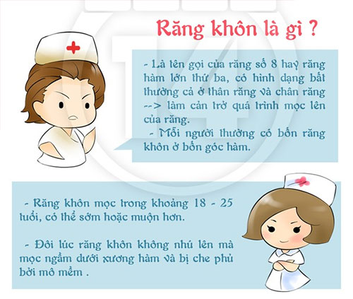Răng Khôn Là Gì? Tìm Hiểu Về Răng Khôn Là Gì?