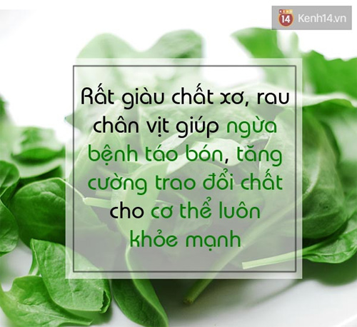 Rau Chân Vịt Là Gì? Tìm Hiểu Về Rau Chân Vịt Là Gì?