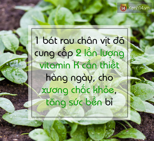 Rau Chân Vịt Là Gì? Tìm Hiểu Về Rau Chân Vịt Là Gì?