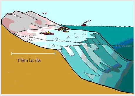Rìa lục địa là gì? Cách xác định rìa lục địa là gì?