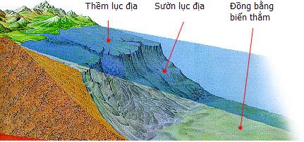 Rìa lục địa là gì? Cách xác định rìa lục địa là gì?
