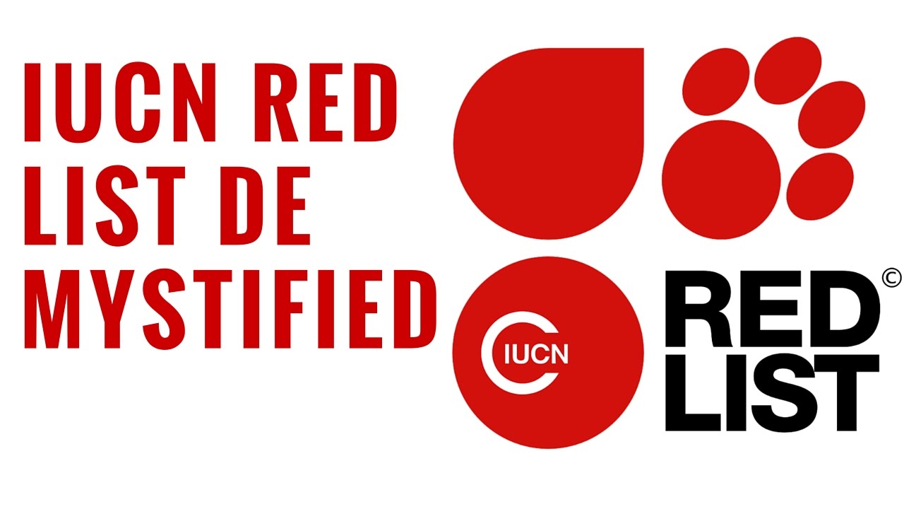 Sách đỏ IUCN là gì? Những khái niệm trong sách đỏ IUCN?