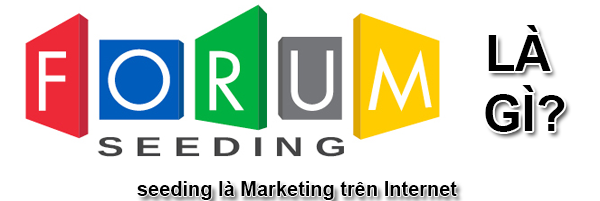 Seeding Là Gì? Tìm Hiểu Seeding Là Gì?