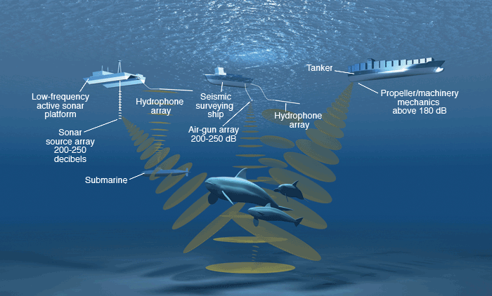 Sonar quét sườn là gì? Nguyên lý hoạt động Sonar quét sườn