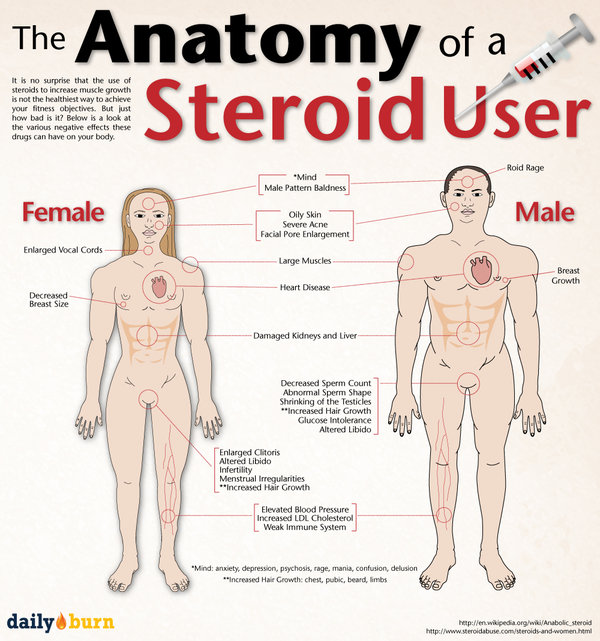 Steroid Là Gì?Tìm Hiểu Steroid Là Gì?